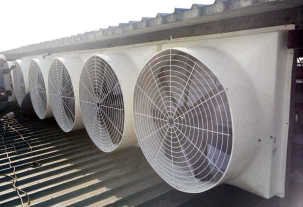 新泰玻璃钢屋顶风机 新泰玻璃钢屋顶风机